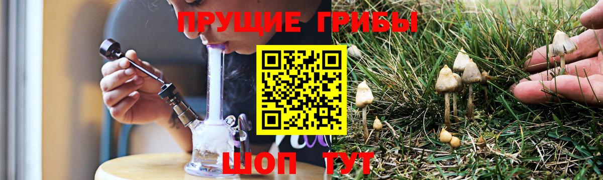 Галлюциногенные грибы мицелий  что такое   Вход с VPN  Гуково  Галлюциногенные грибы прущие грибы 